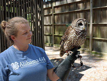 680A2403_4x3 owl perched on a handler's arm